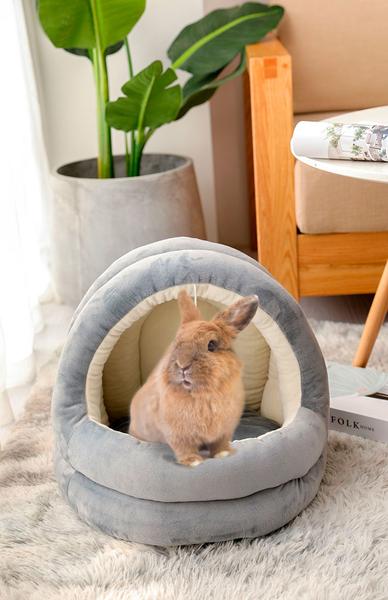 Maison pour lapin confortable